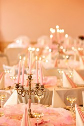 A plus catering - Liberec