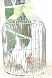 A plus catering - Liberec