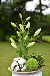 A plus catering - Liberec