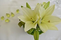 A plus catering - Liberec