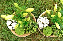 A plus catering - Liberec