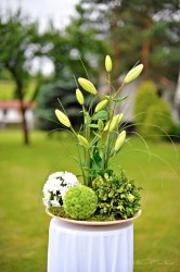 A plus catering - Liberec